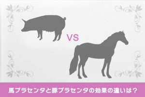 馬プラセンタと豚プラセンタどっちがいい？効果の違いについて