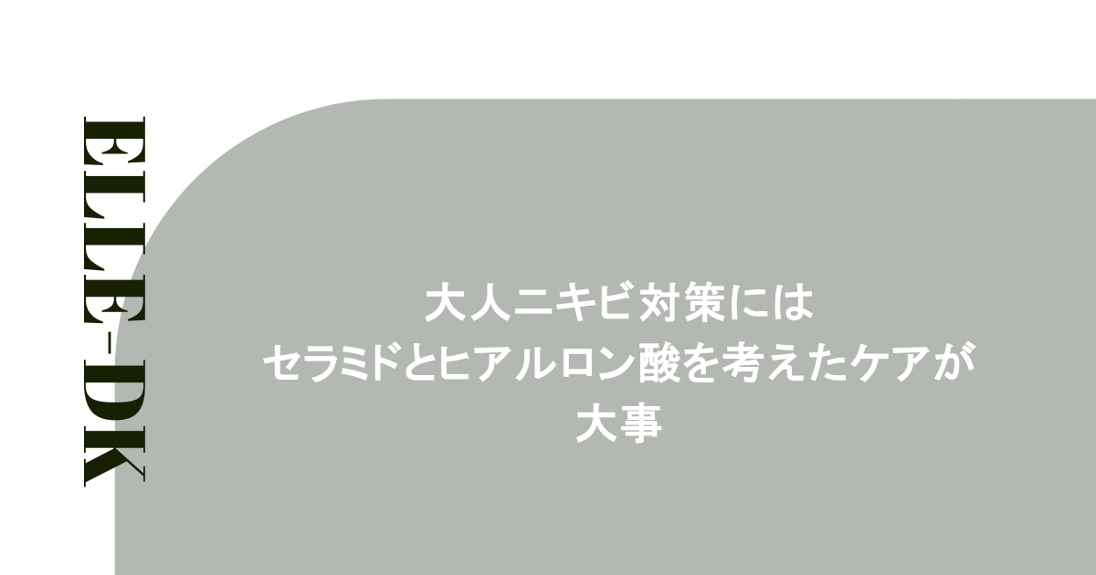 大人ニキビ対策にはセラミドとヒアルロン酸を考えたケアが大事