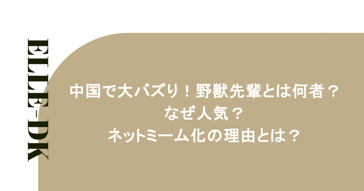 中国で大バズり！野獣先輩とは何者？なぜ人気？ネットミーム化の理由とは？